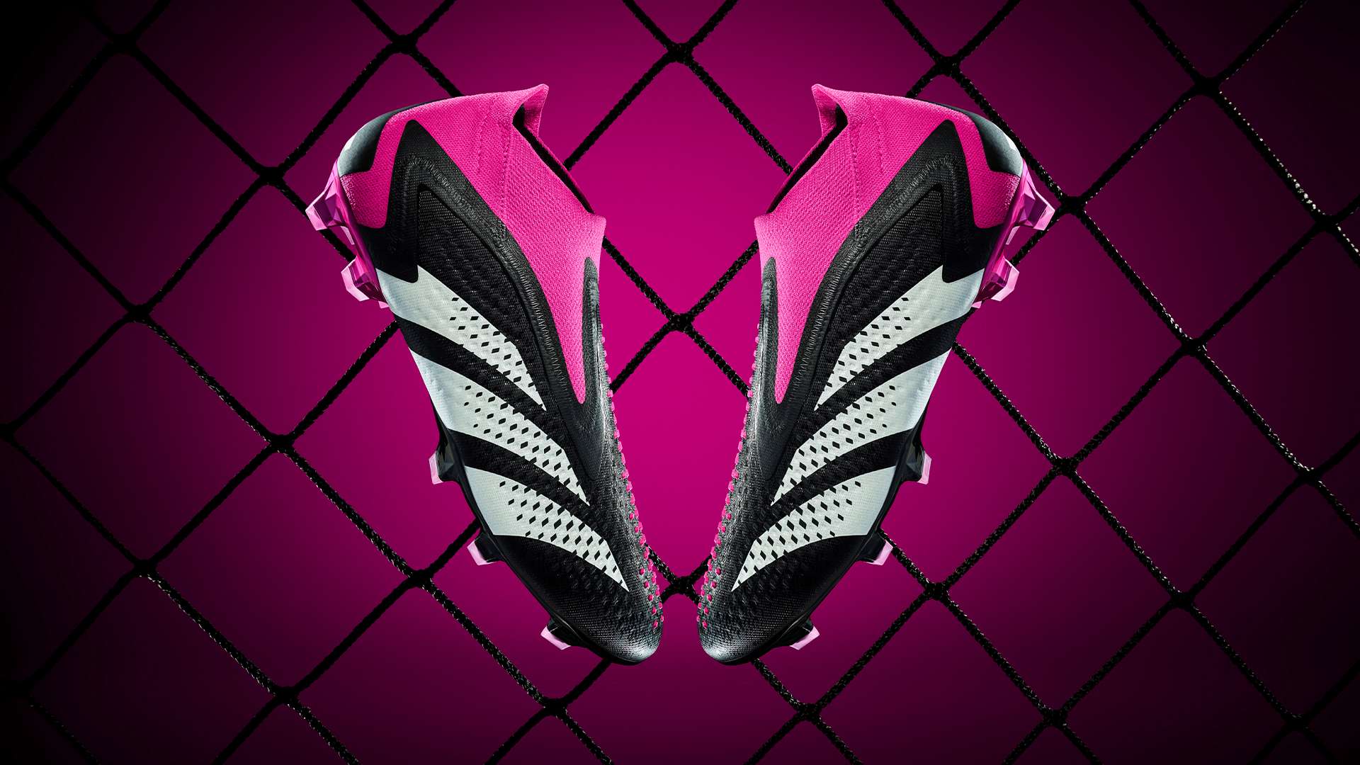 年队徽的两 年队徽的两