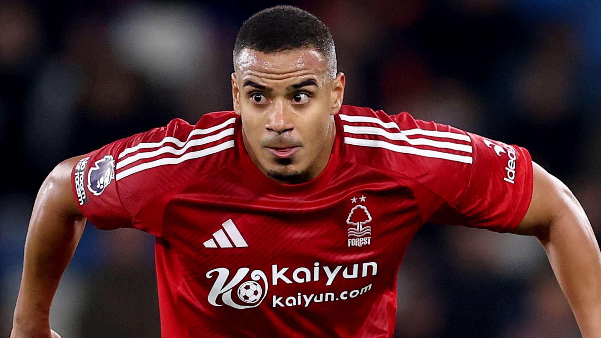 剖析深圳青 剖析深圳青